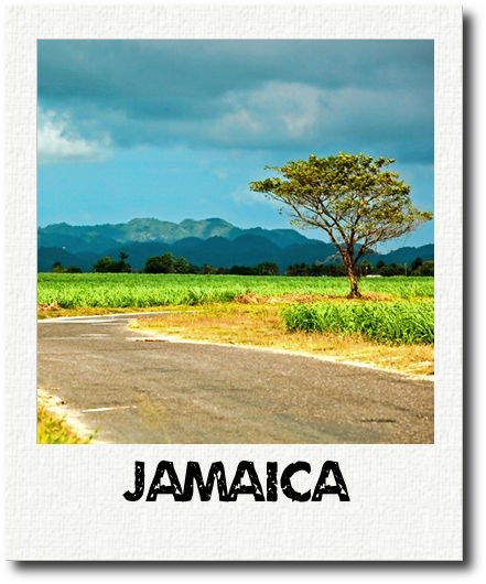 Jamaica Polaroid