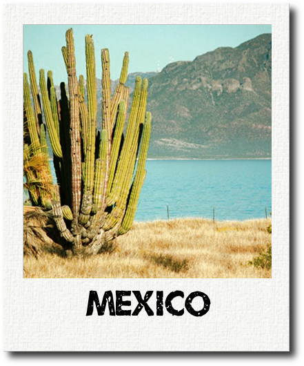 Mexico Polaroid